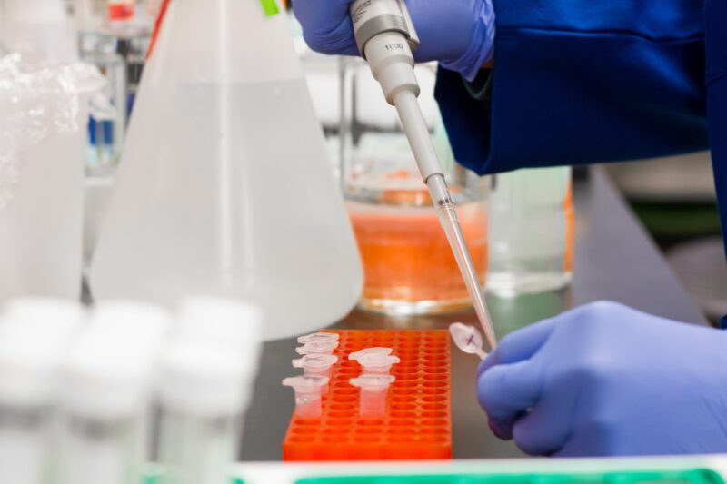 A person using a test tube to carry out a test.